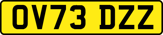 OV73DZZ