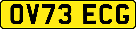 OV73ECG
