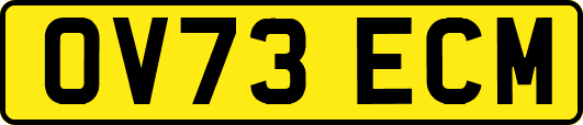 OV73ECM