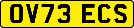 OV73ECS