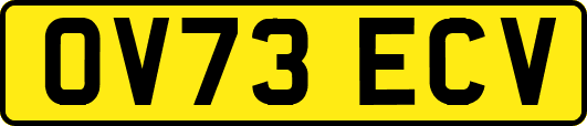OV73ECV