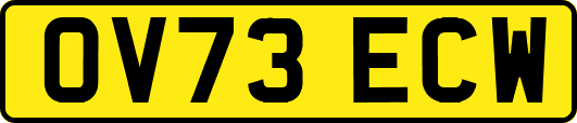 OV73ECW
