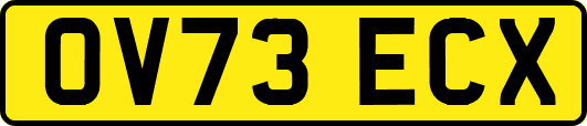 OV73ECX