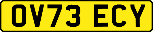 OV73ECY