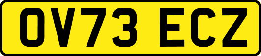 OV73ECZ