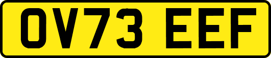 OV73EEF