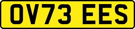OV73EES