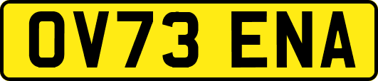 OV73ENA