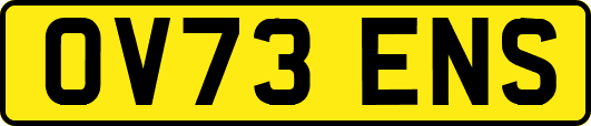 OV73ENS