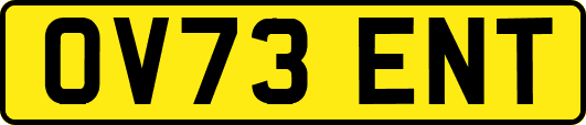 OV73ENT