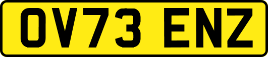 OV73ENZ