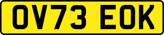 OV73EOK