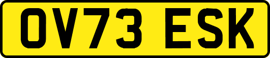 OV73ESK