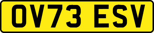 OV73ESV