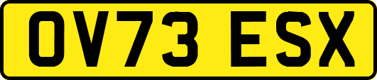 OV73ESX