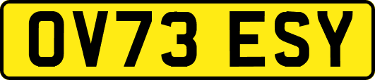 OV73ESY