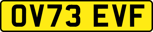 OV73EVF