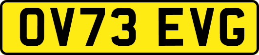 OV73EVG