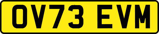 OV73EVM