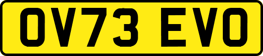 OV73EVO