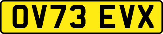 OV73EVX