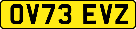 OV73EVZ