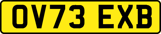 OV73EXB