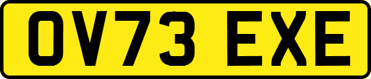 OV73EXE