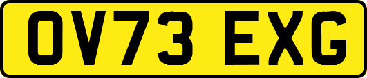 OV73EXG