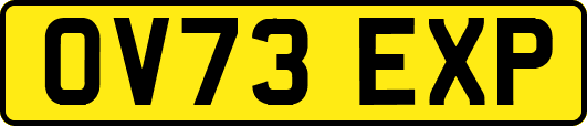 OV73EXP