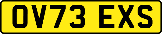 OV73EXS