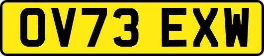 OV73EXW