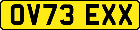 OV73EXX