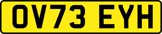 OV73EYH