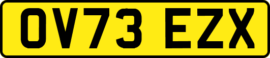 OV73EZX