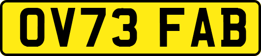 OV73FAB