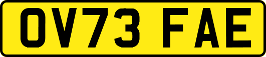OV73FAE