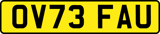 OV73FAU