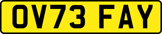 OV73FAY