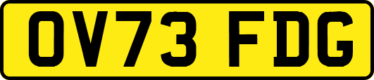 OV73FDG