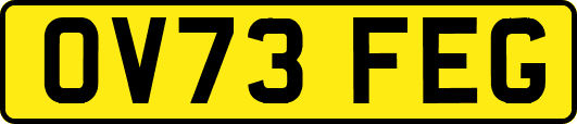 OV73FEG