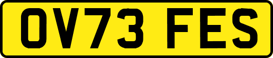 OV73FES