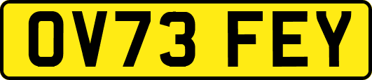 OV73FEY