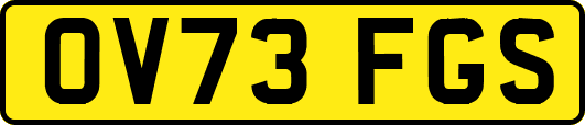 OV73FGS