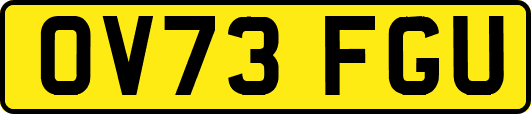 OV73FGU