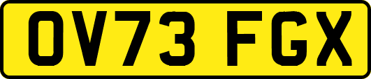 OV73FGX