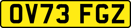 OV73FGZ