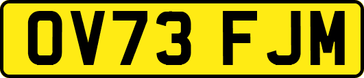 OV73FJM