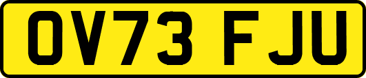 OV73FJU