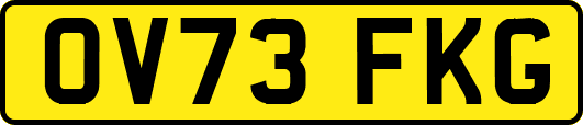 OV73FKG